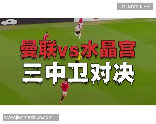水晶宫与曼联对决分析全方位解读比赛战术与球员表现